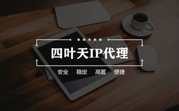 【海口代理IP】如何快速搭建代理IP？怎么检查代理的效果？